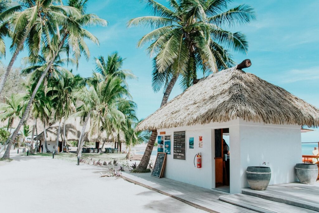 Castaway Island Beach: Crystal Waters and Palm Trees