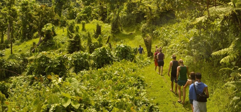 Bouma National Heritage Park: Waterfalls and Trails on Taveuni Island