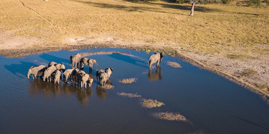 Shumba Pan – Hwange National Park’s Waterhole Wildlife