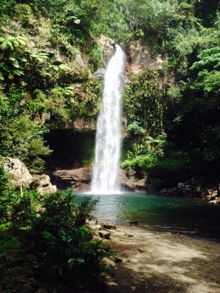 Taveuni Island Beach: Pristine Shores and Waterfalls