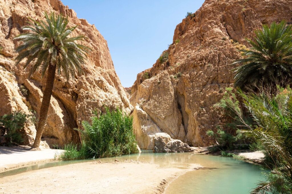 Best Places to Visit in the Oasis Town of Metlaoui