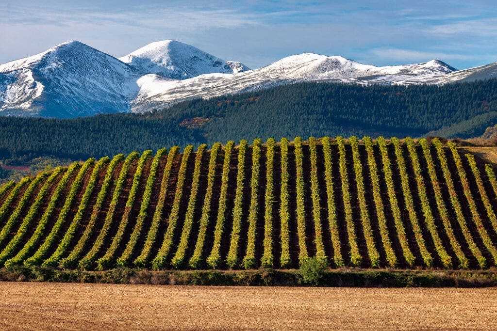 La Rioja Wine Region: Vineyards and Historic Wineries