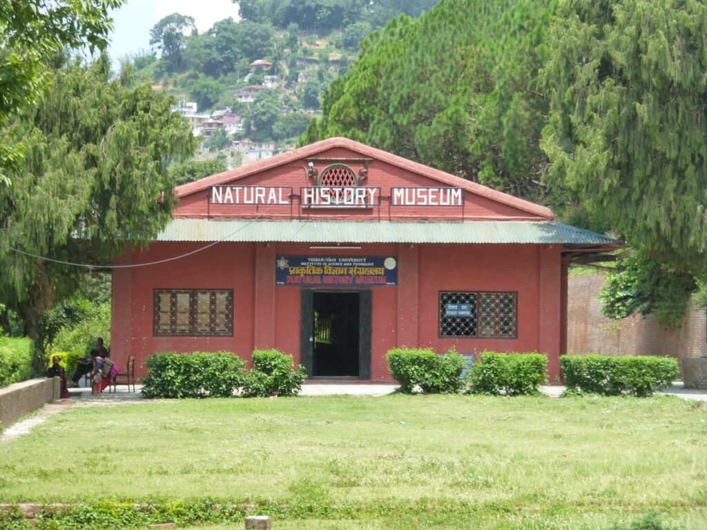 National Museum: Historical Exhibits in Kathmandu