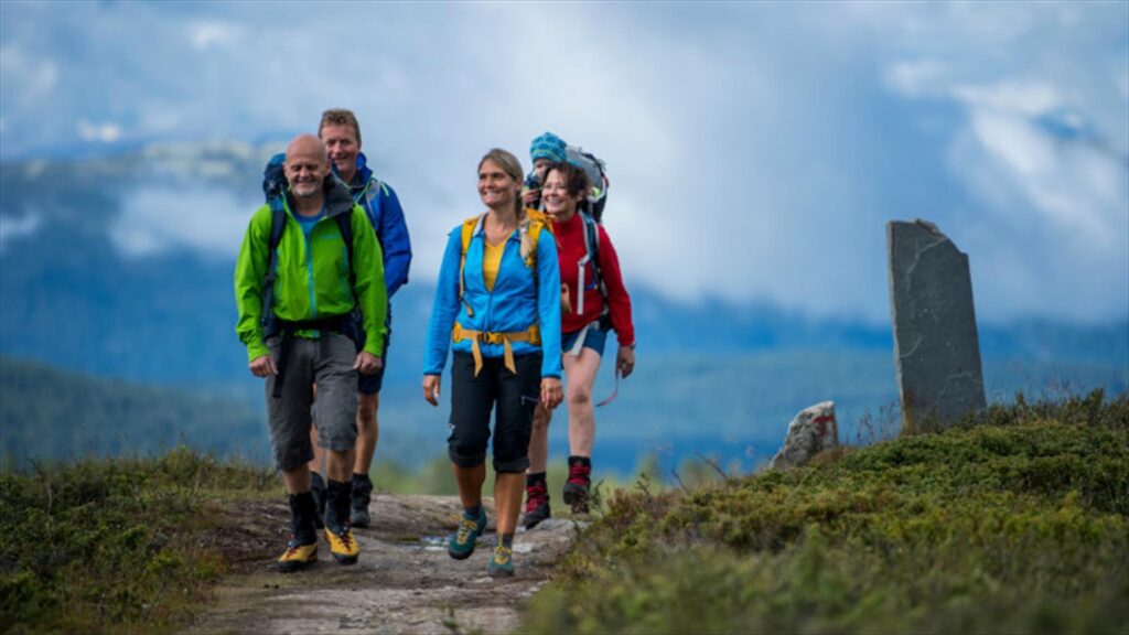 Hiking in the Dovre Mountains National Park