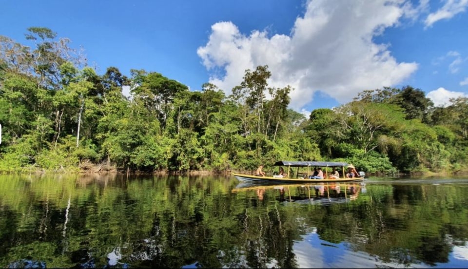 Leticia Amazon Tours: Wildlife Expeditions in the Jungle