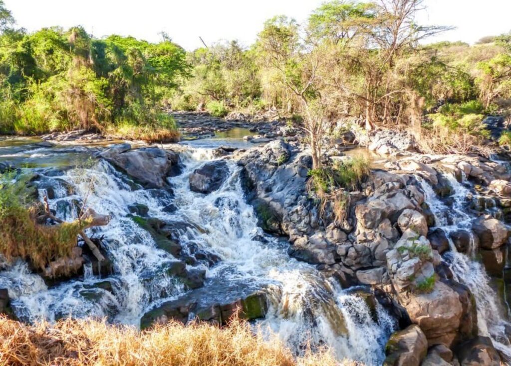 Rift Valley Hot Springs in Shashemene – Relaxation Spot