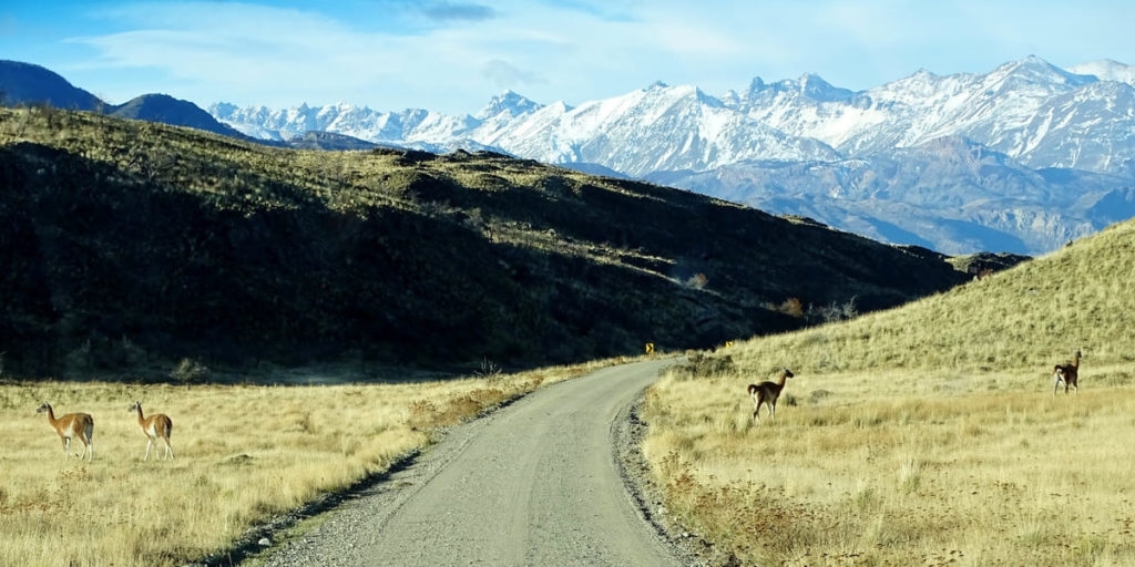 Exploring the Carretera Austral’s Scenic Routes, Chile