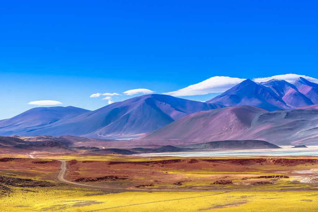 Salt Flats of the Atacama Desert, San Pedro de Atacama