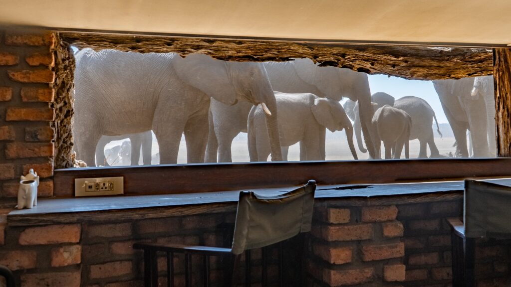 Sable Valley Lodge – Hwange Safari Camp