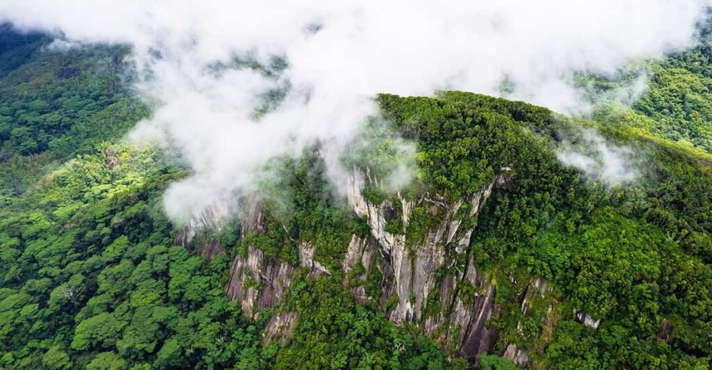 Morne Seychellois National Park, Mahe – Hiking in the Wilderness