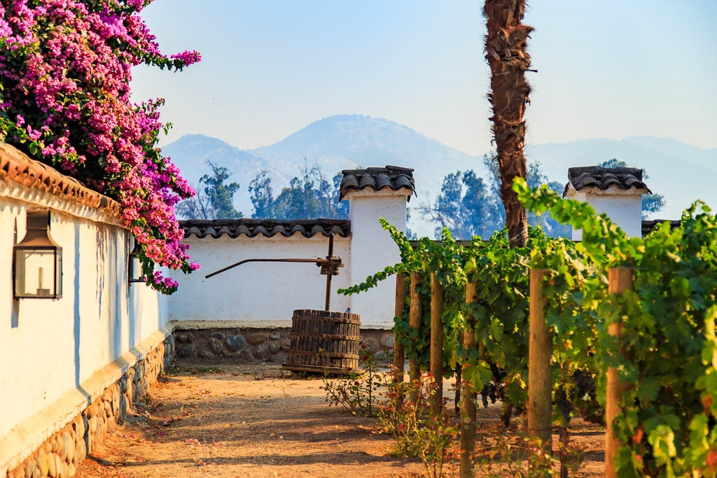 Wine Tasting at Maipo Valley, Santiago