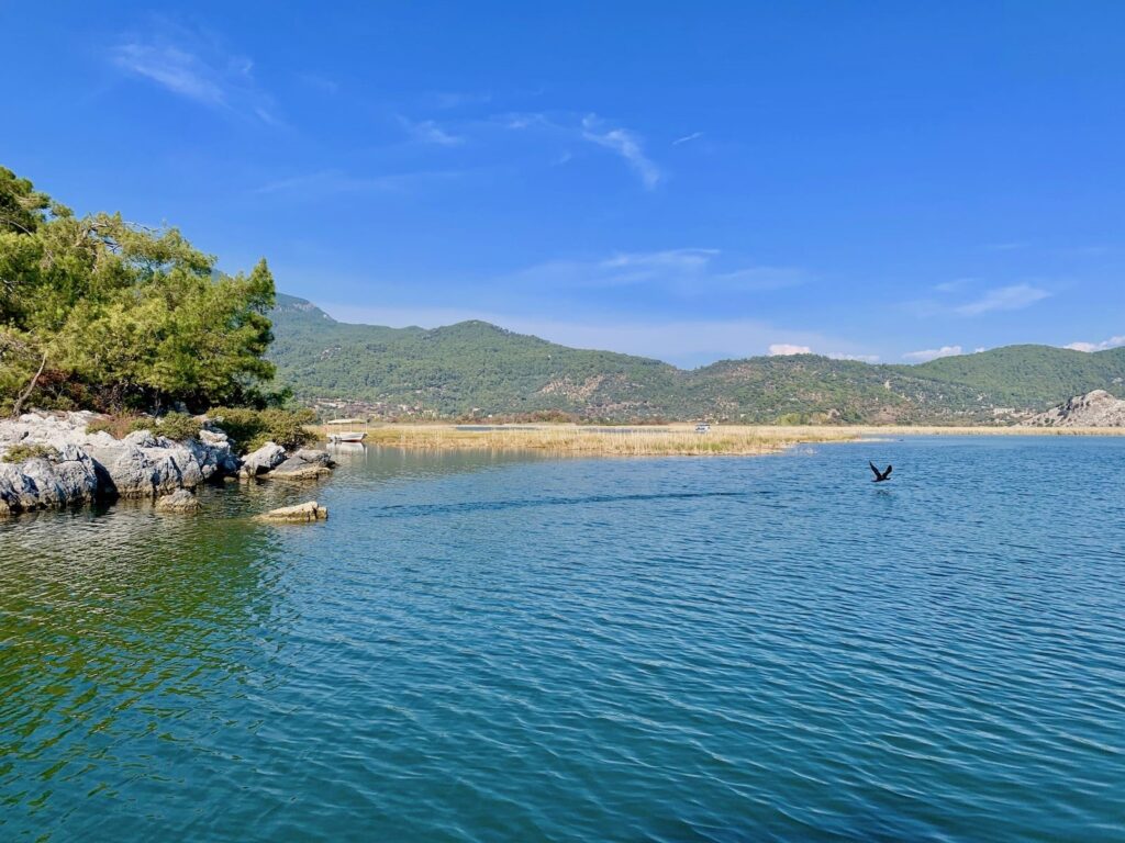 Koycegiz Lake: Tranquil Spot Near Dalyan