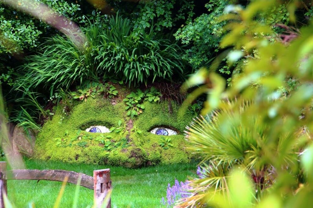 The Lost Gardens of Heligan: Cornwall’s Hidden Paradise