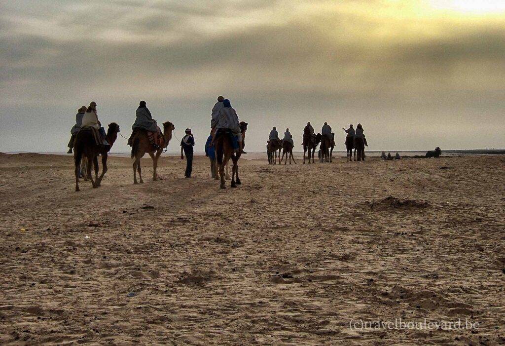 Exploring the Oasis Town of Douz