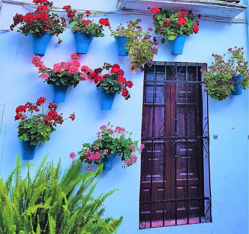 Cordoba’s Calleja de las Flores: Charming Andalusian Street