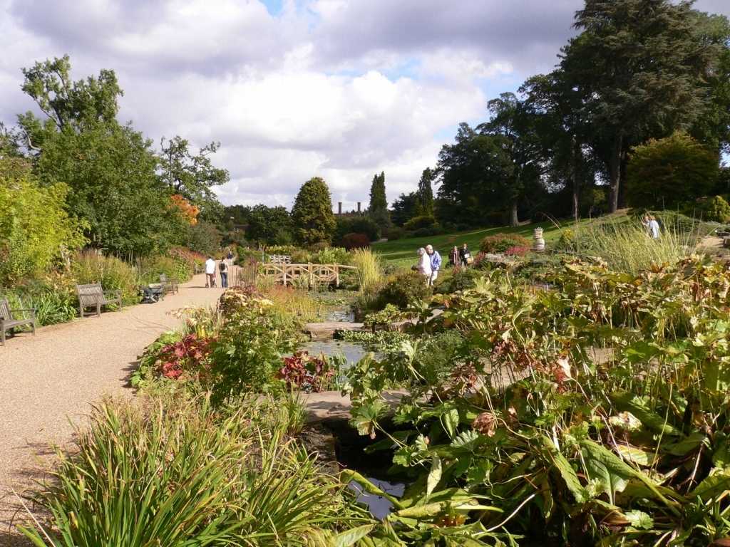 RHS Garden Wisley: Horticultural Wonder in Surrey