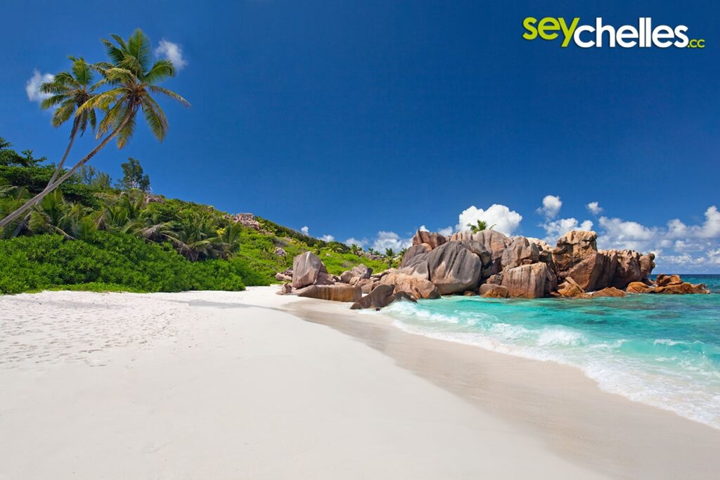 Anse Caïman, Praslin – Secluded Coastal Trail