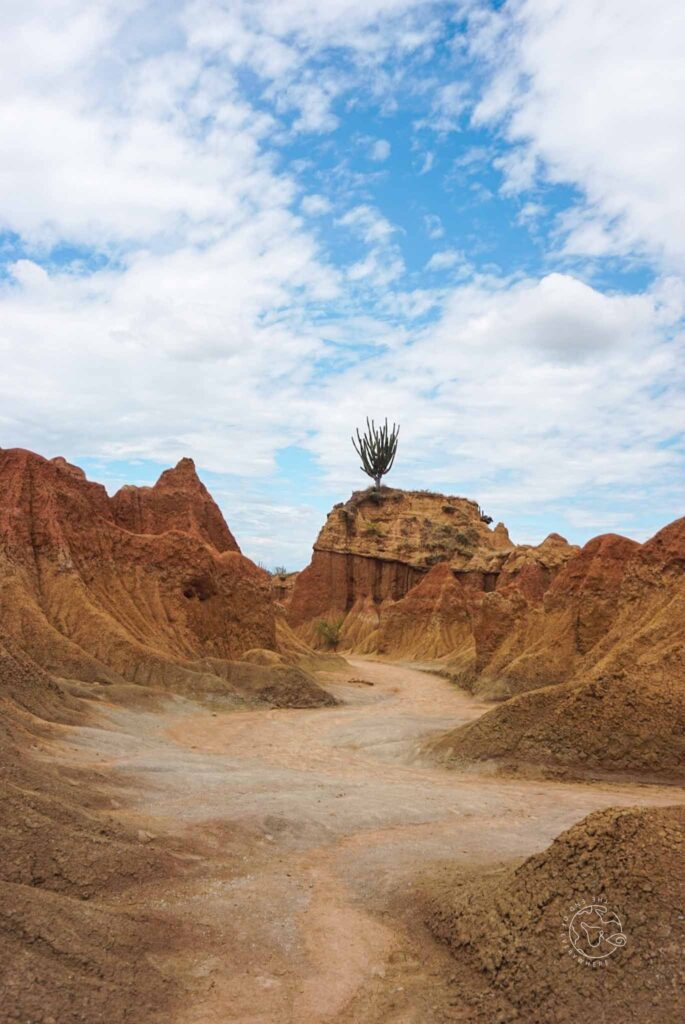 Tatacoa Red Desert: Hiking in Colombia’s Arid Landscape