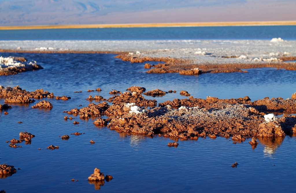 Exploring the Ojos del Salar Lagoons, Chile