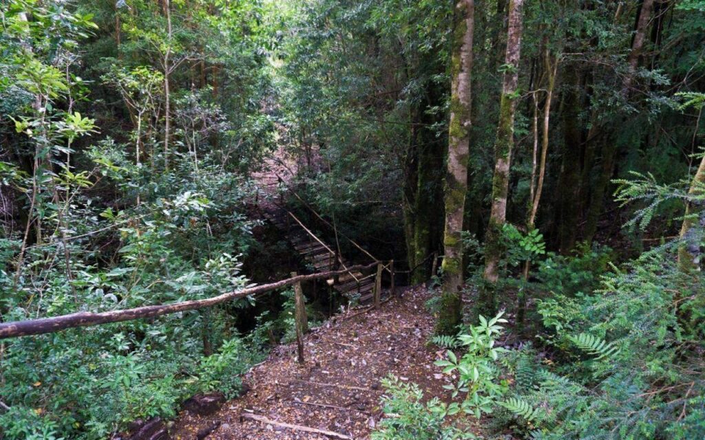 Discovering Chiloé Island’s National Parks, Chile