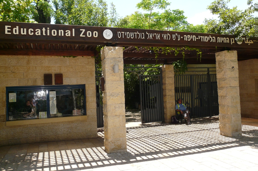 Haifa Zoo, Haifa – Family-Friendly Attraction in the City