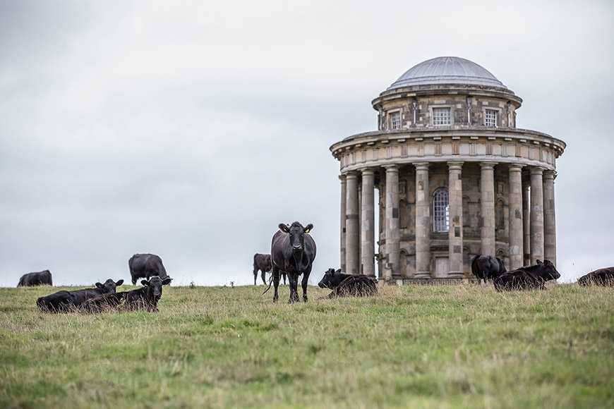 Castle Howard: A Majestic Stately Home in Yorkshire