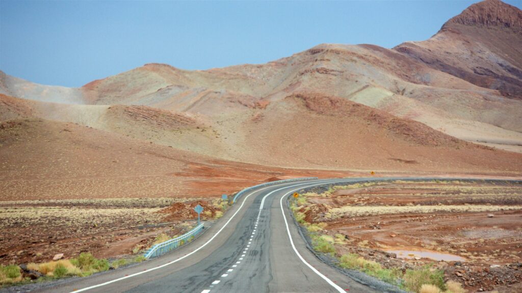 Exploring the Salt Lakes of Antofagasta, Chile