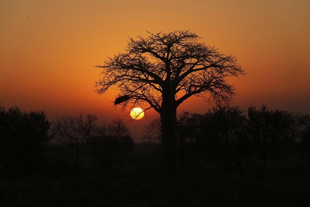 Save Valley Conservancy – Zimbabwe’s Largest Private Reserve