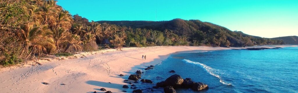 Yadua Island Beach: Wildlife and Pristine Shores