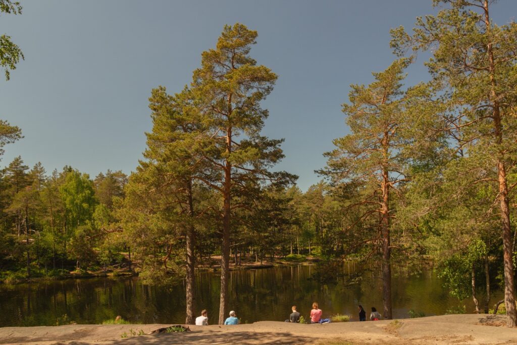 Hiking Through the Scenic Hills of Nordmarka