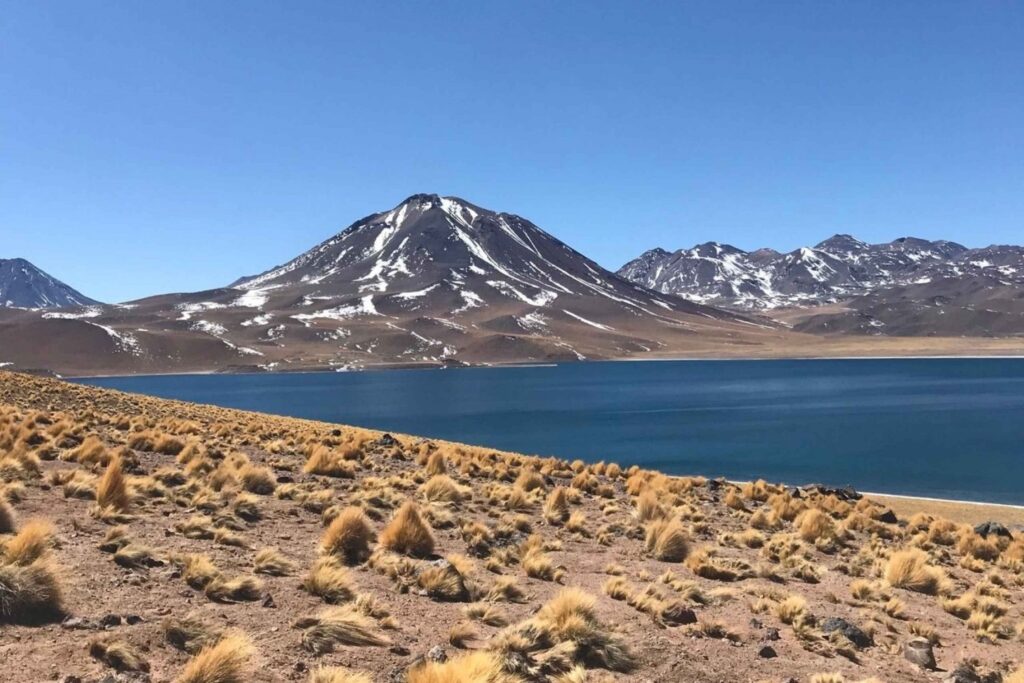 Exploring the Lagoons of the Altiplano, Chile