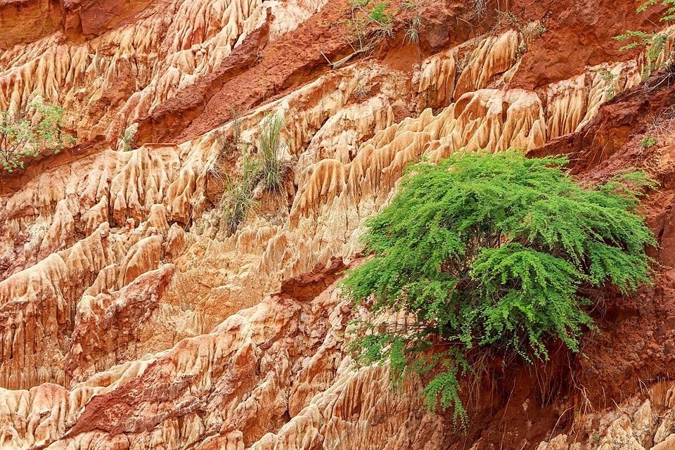 Tsingy Rouge in Diego Suarez: Unique Red Rock Formations