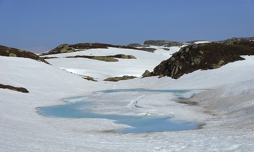 Discover the Snow-Capped Peaks of the Hardanger Plateau