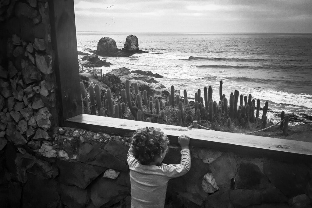 Must-See Attractions in Punta de Lobos, Chile