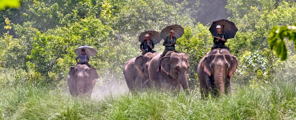 Bardiya National Park: Wildlife Safari Destination