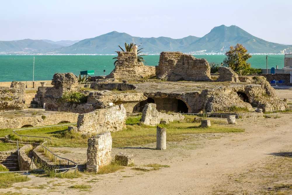 Exploring Ichkeul National Park: A UNESCO World Heritage Site