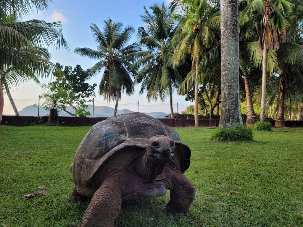 Anse Possession, Praslin – Overlooking Curieuse Island