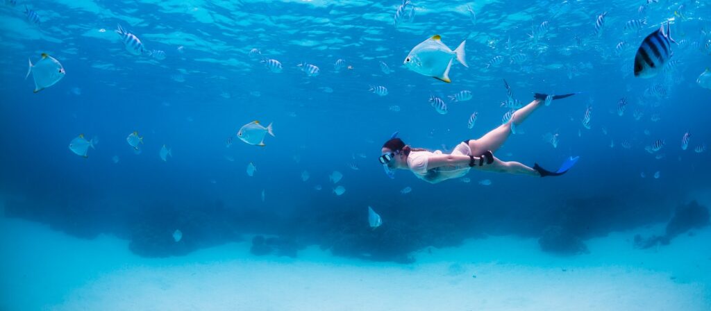 Ternay Marine National Park, Mahe – Underwater Wonderland