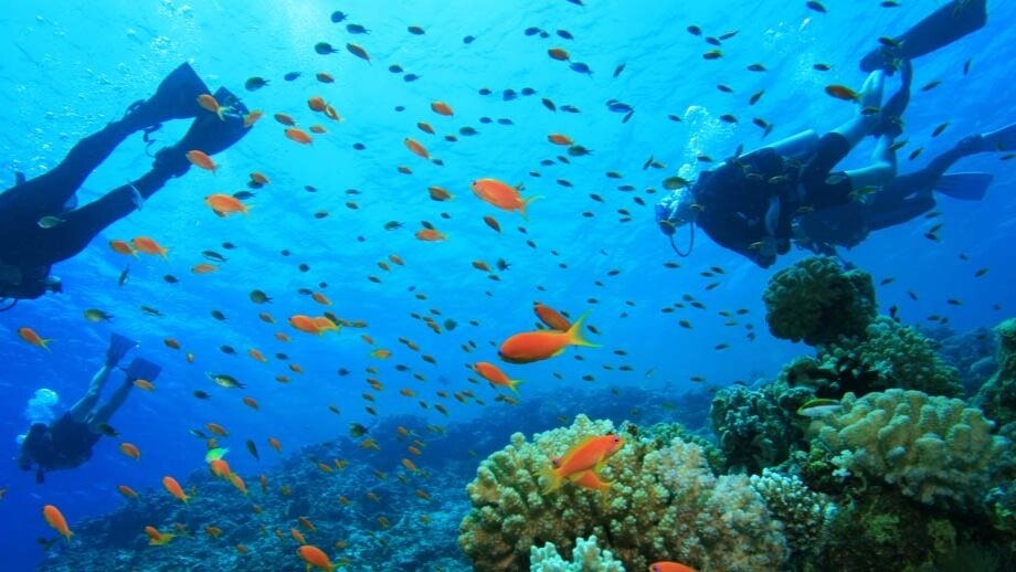 Waitabu Marine Park: Snorkeling Near Taveuni