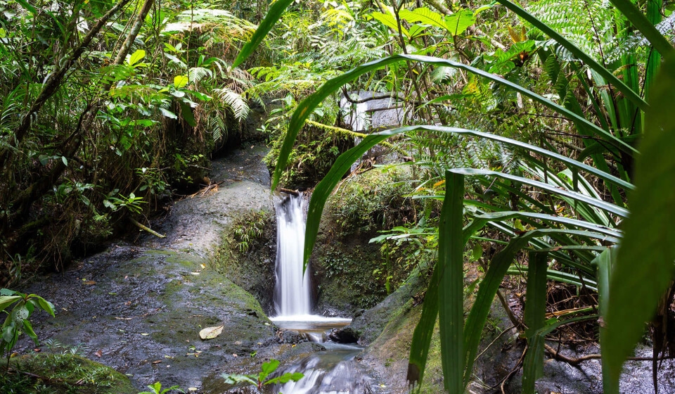 Bawa Falls – Hidden Waterfall Near Masvingo