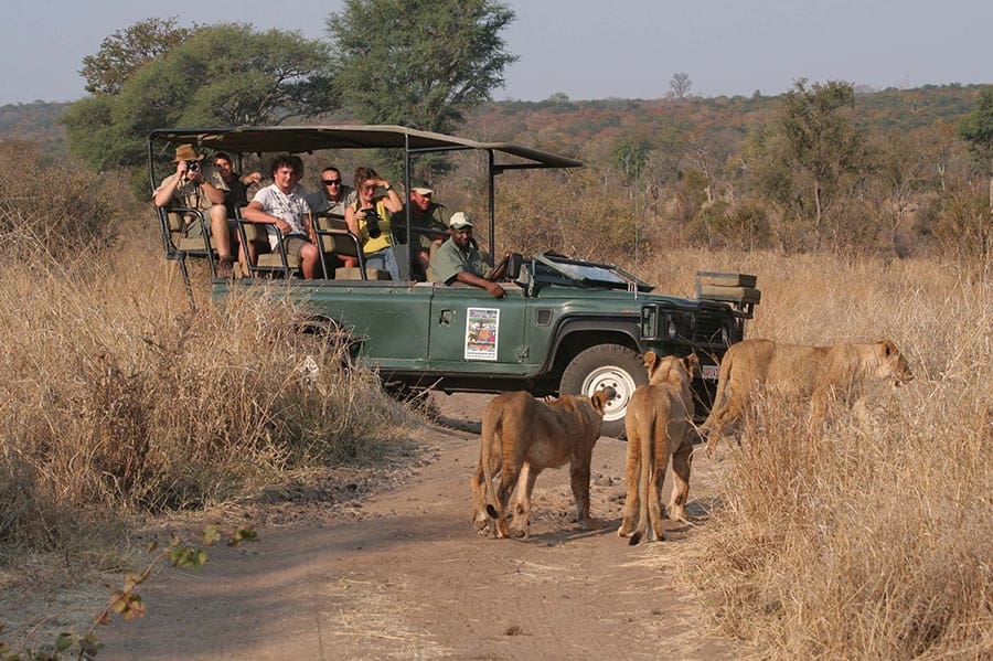 Stanley and Livingstone Private Game Reserve – Victoria Falls Safari