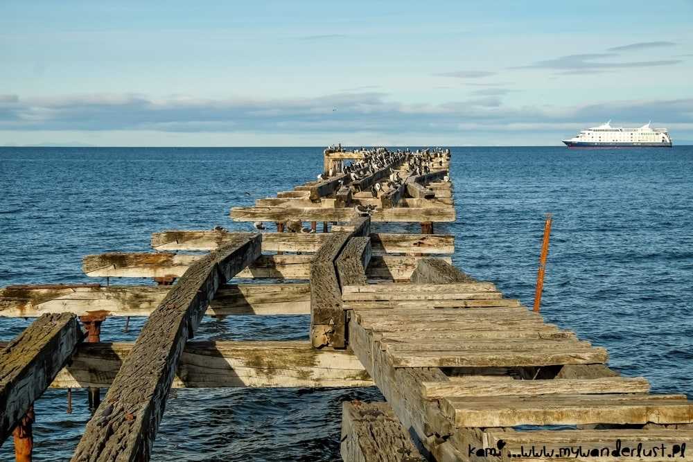 Best Things to Do in Punta Arenas, Chile