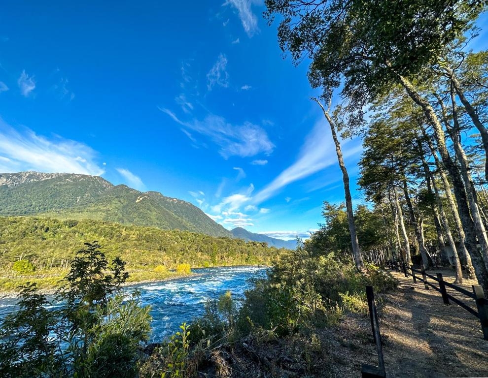 Discovering the Forest Reserves of Puerto Varas, Chile