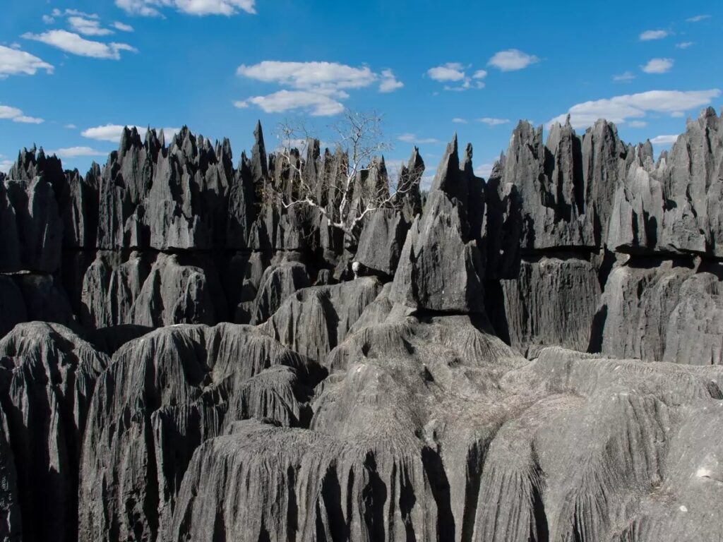 Tsingy de Bemaraha: Sharp Limestone Pinnacles in Melaky