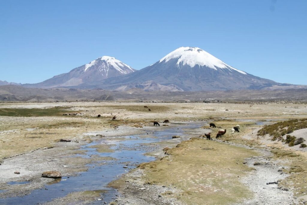 Top Sights in Lauca National Park, Chile