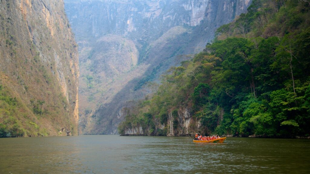 Scenic Sumidero Canyon Boat Tours in Chiapas