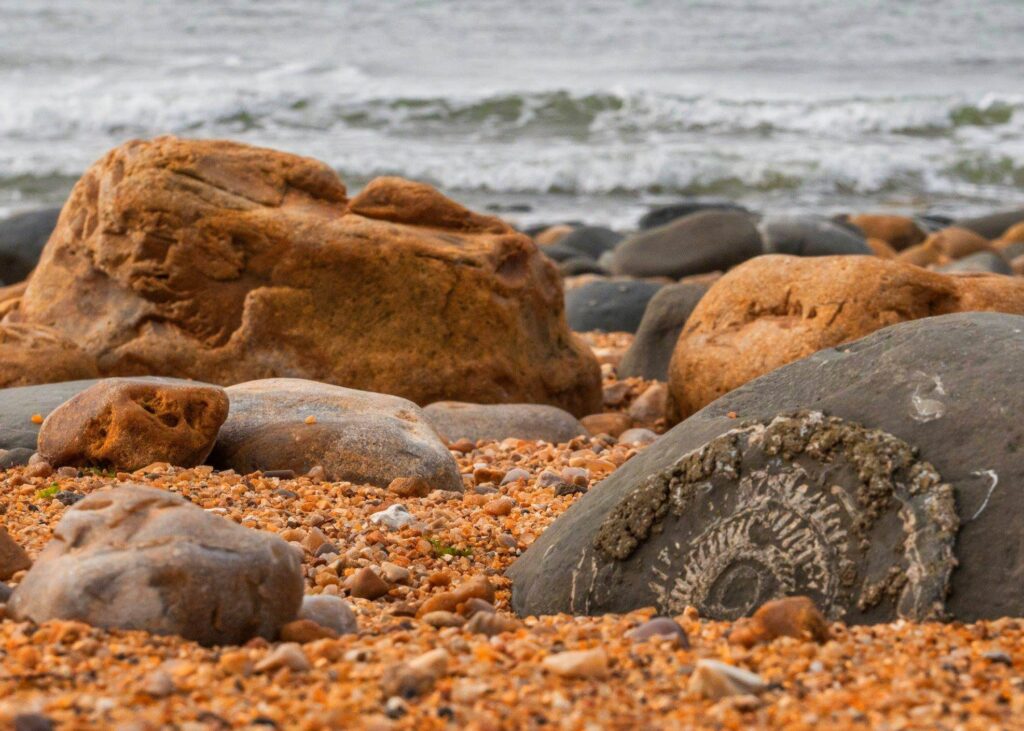 The Jurassic Coast: A Walk Through Prehistoric England