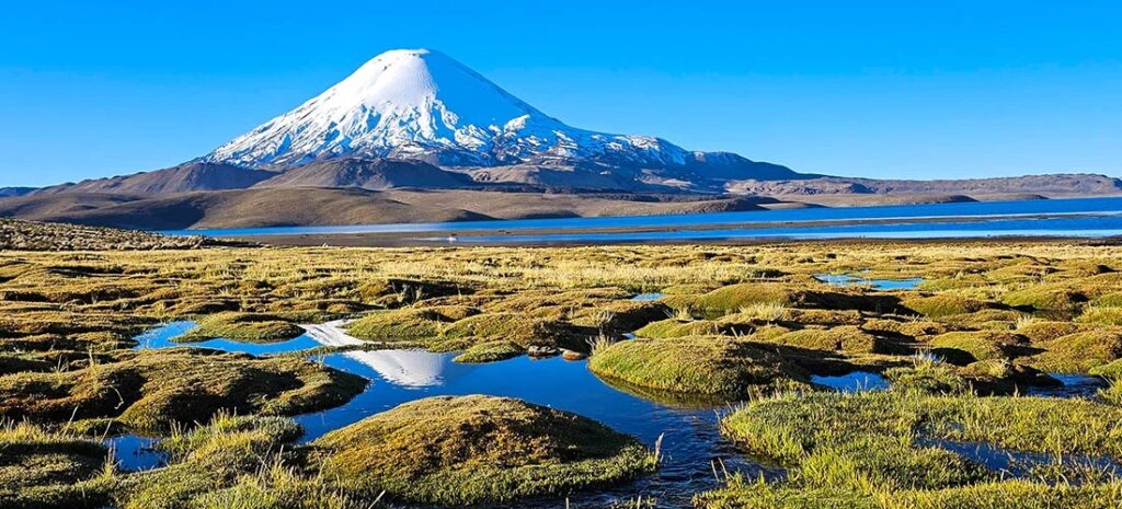 Scenic Lagoons in the Altiplano, Putre, Chile