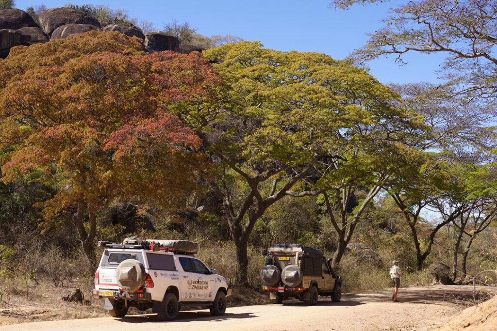 Tuli Circle Safari Area – Border Safari Experience