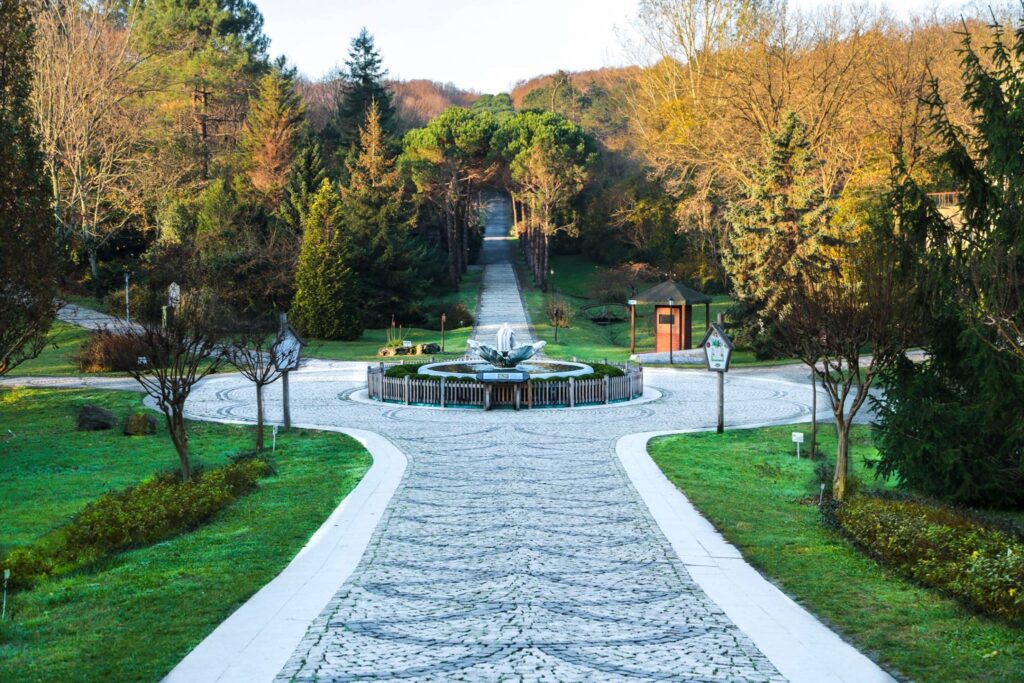 Ataturk Arboretum: Natural Park Near Istanbul